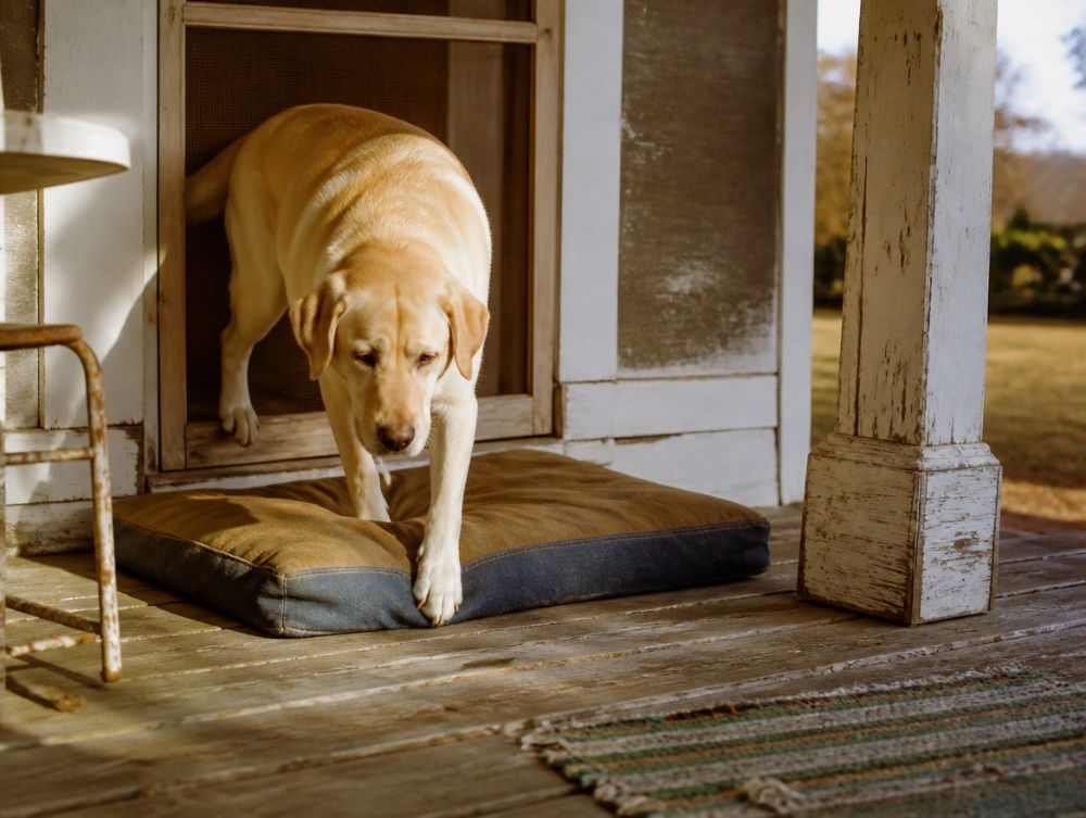 Canvas porch bed